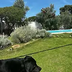 Mar Bea * Terra Mala