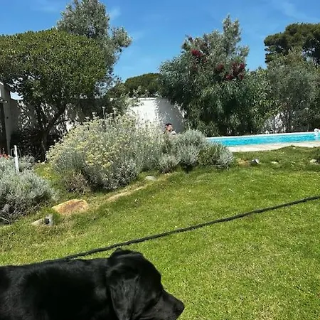 Mar Bea * Terra Mala